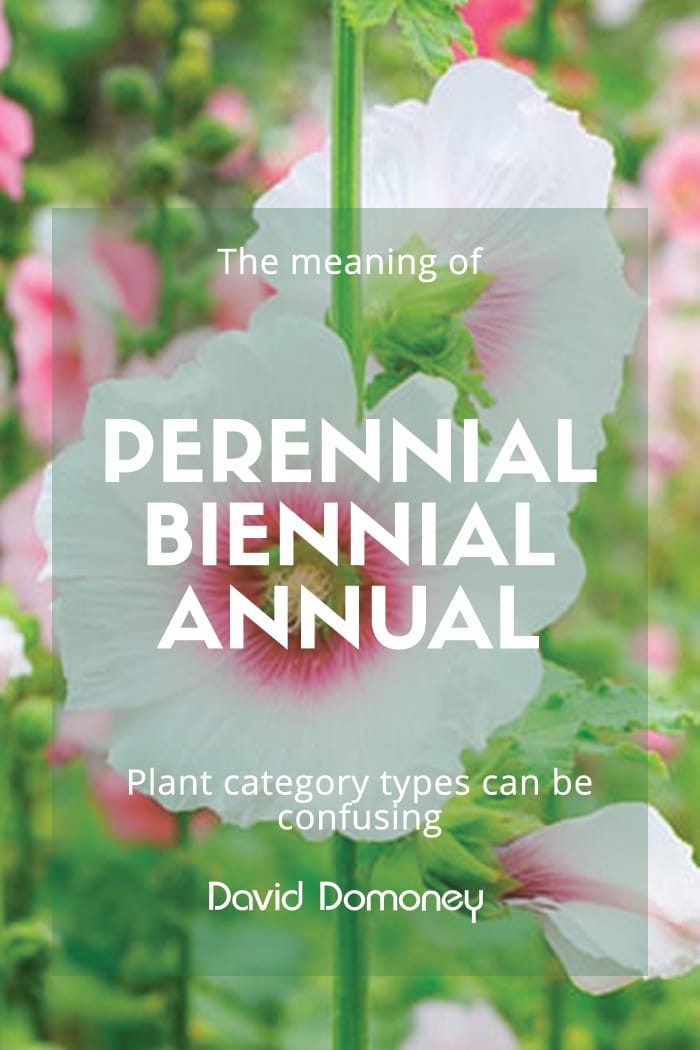 what-does-perennial-biennial-and-annual-plants-mean