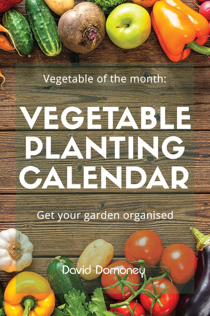 grow-your-own-veg-with-my-planting-calendar-david-domoney