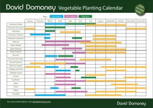 Grow your own veg with my planting calendar - David Domoney