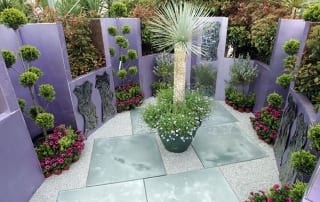 David Domoney Chelsea Flower Show Reflections Garden