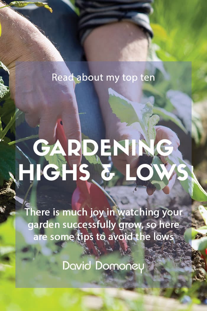 Top ten gardening highs and how to avoid the lows feature