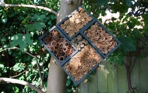 Insect hotel