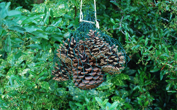 how-to-build-a-pine-cone-ladybird-hotel-wild-about-gardens