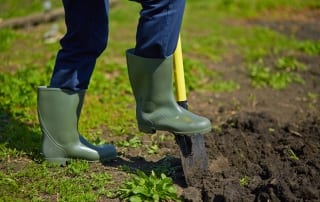 digging into soil