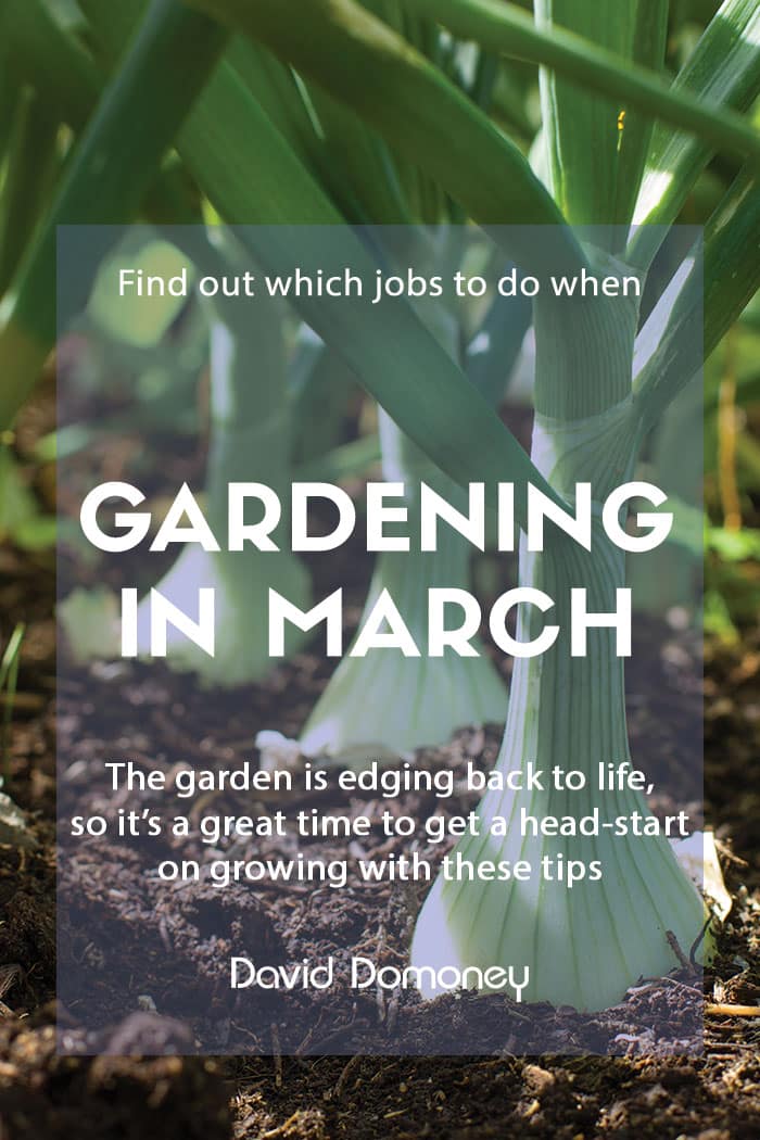 Gardening in March jobs