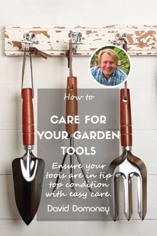 How to care for your garden tools feature