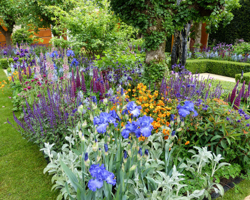 Chelsea Flower Show 2015: Show Garden Photo Gallery