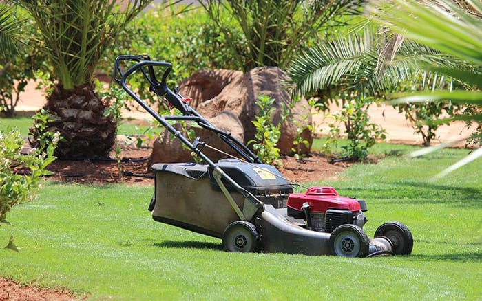 CYLINDER (Reel) V ROTARY Lawnmowers - Which mower is right for you