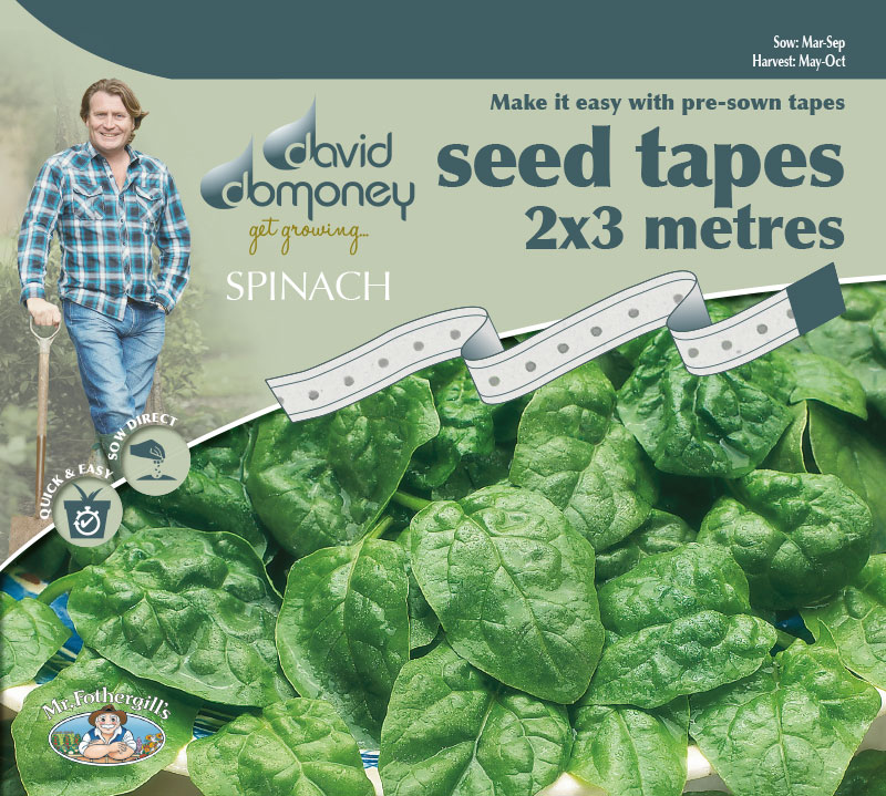 Grow your own Spinach Tape seeds