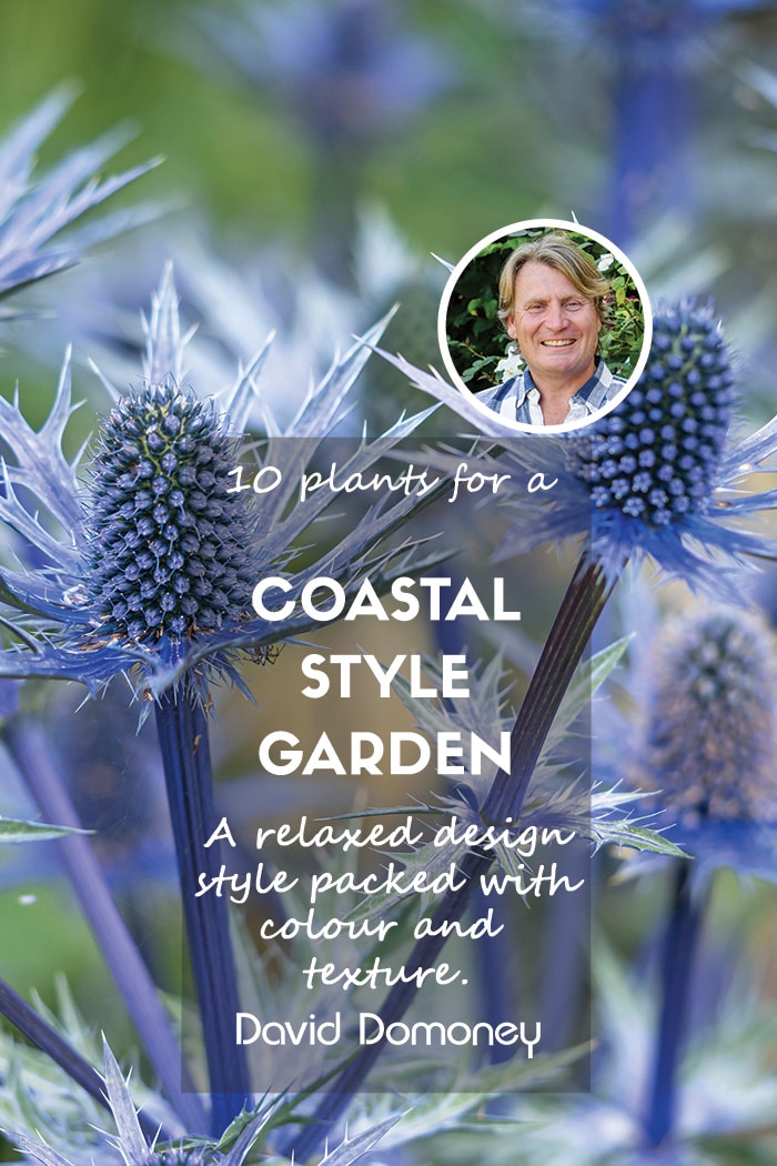 Coastal style garden