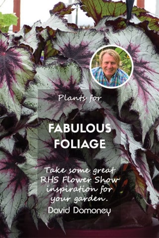 fabulous foliage feature