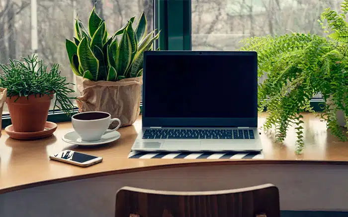 plants in office