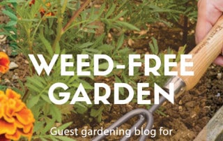 weed free garden