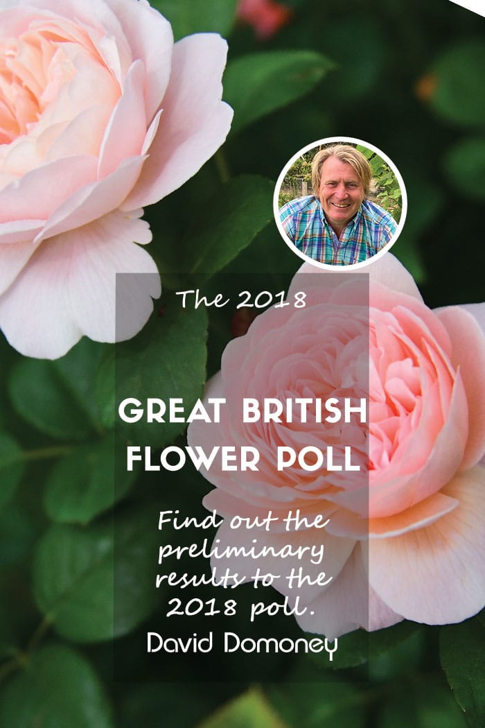 2018 british flower poll preliminary results feature