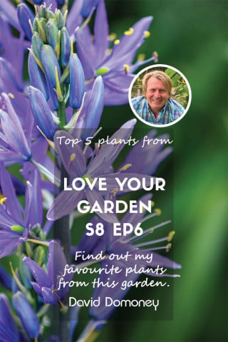 Love Your Garden Season 8 Episode 6 Top five plants feature