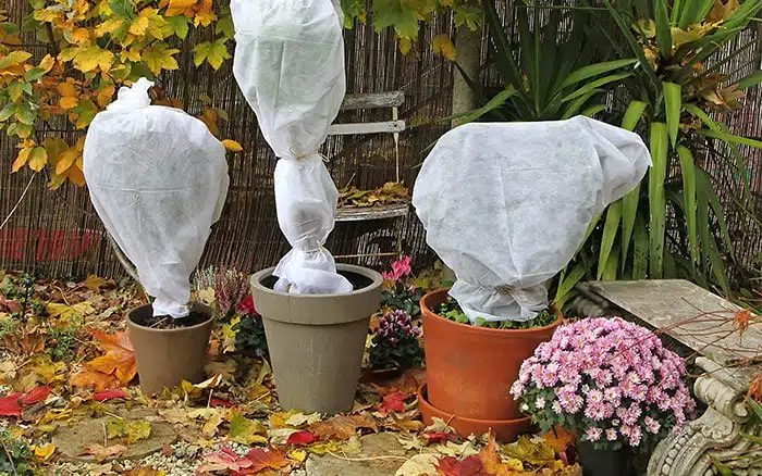 protect potted plants from heavy rain