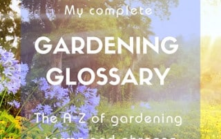 David's Gardening Glossary