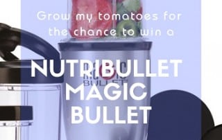 Magic Bullet Prize Draw