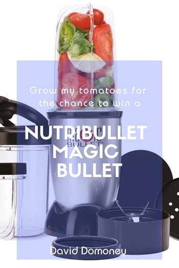 Magic Bullet Prize Draw