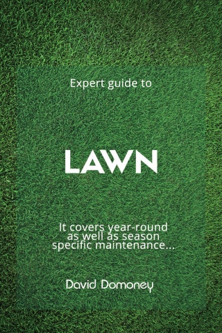 Lawn-Feature-Image