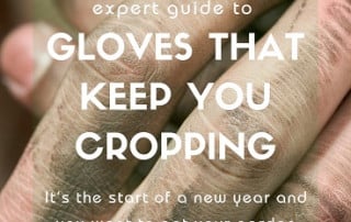 Gloves to keep you cropping