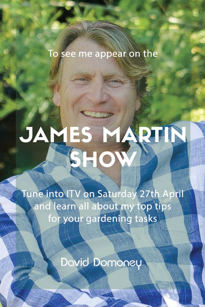 James Martin