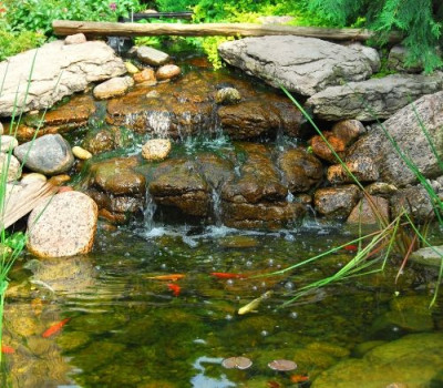 Creating a garden pond - David Domoney Get Growing