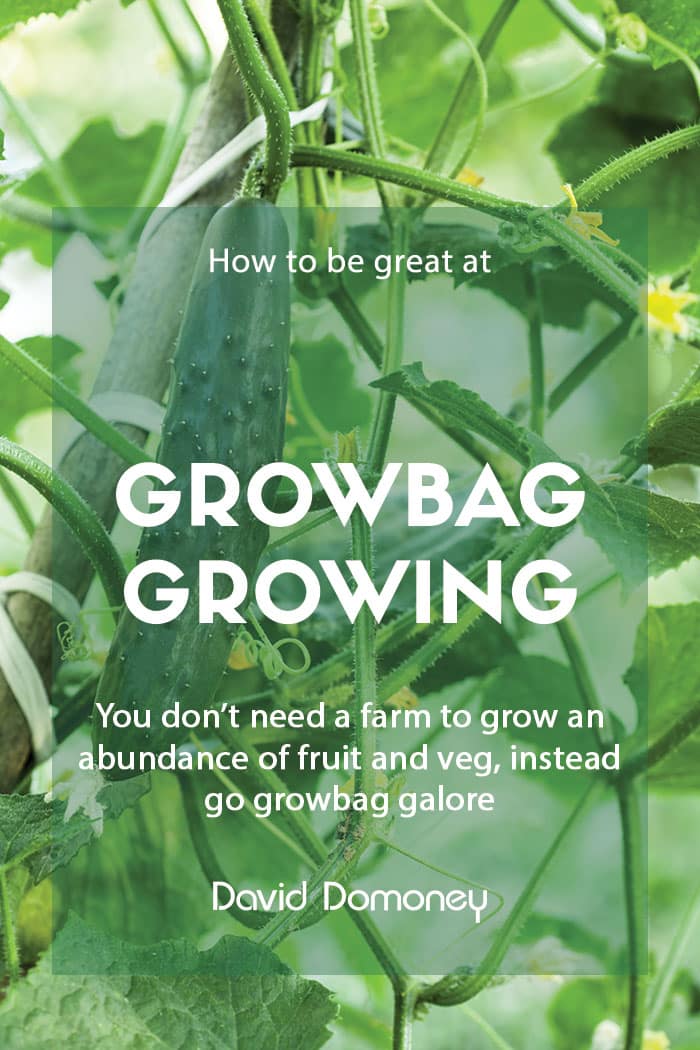 How to be great at growbag growing