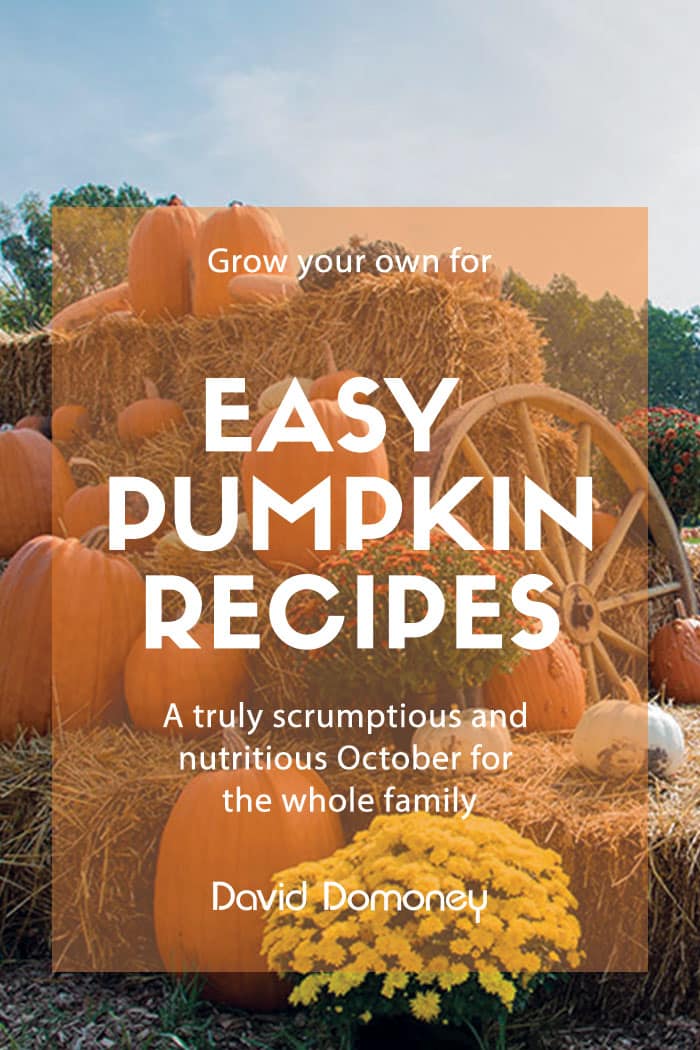 Grow pumpkins