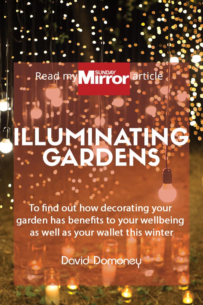 Illuminating gardens