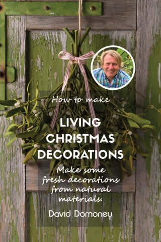 living christmas decorations feature