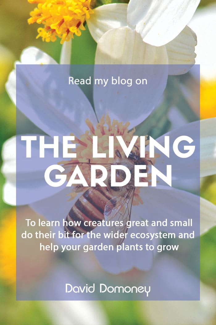 The living garden