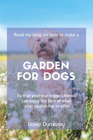 Garden for dogs