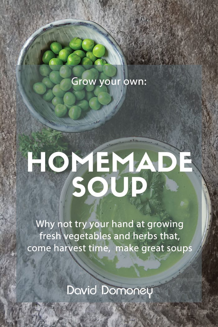 Grow soup