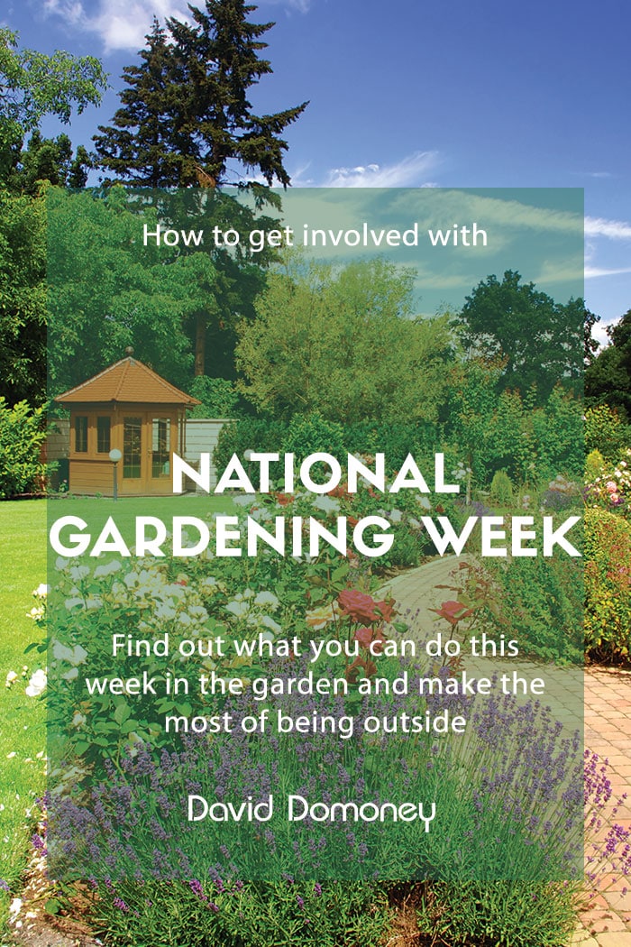 National Gardening Week David Domoney