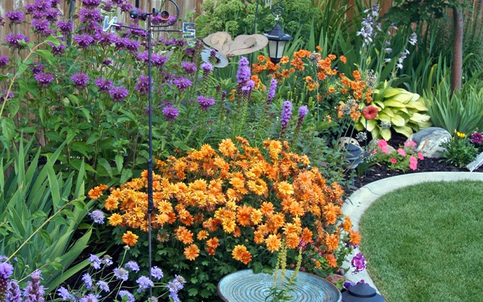 curved herbaceous border