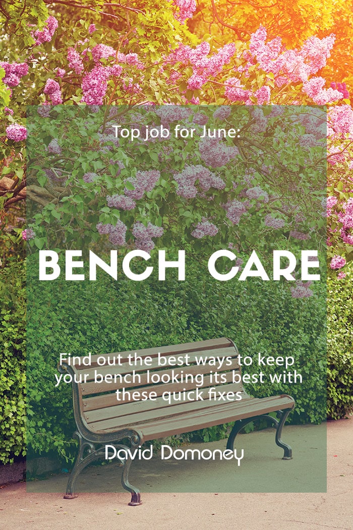 job june bench care