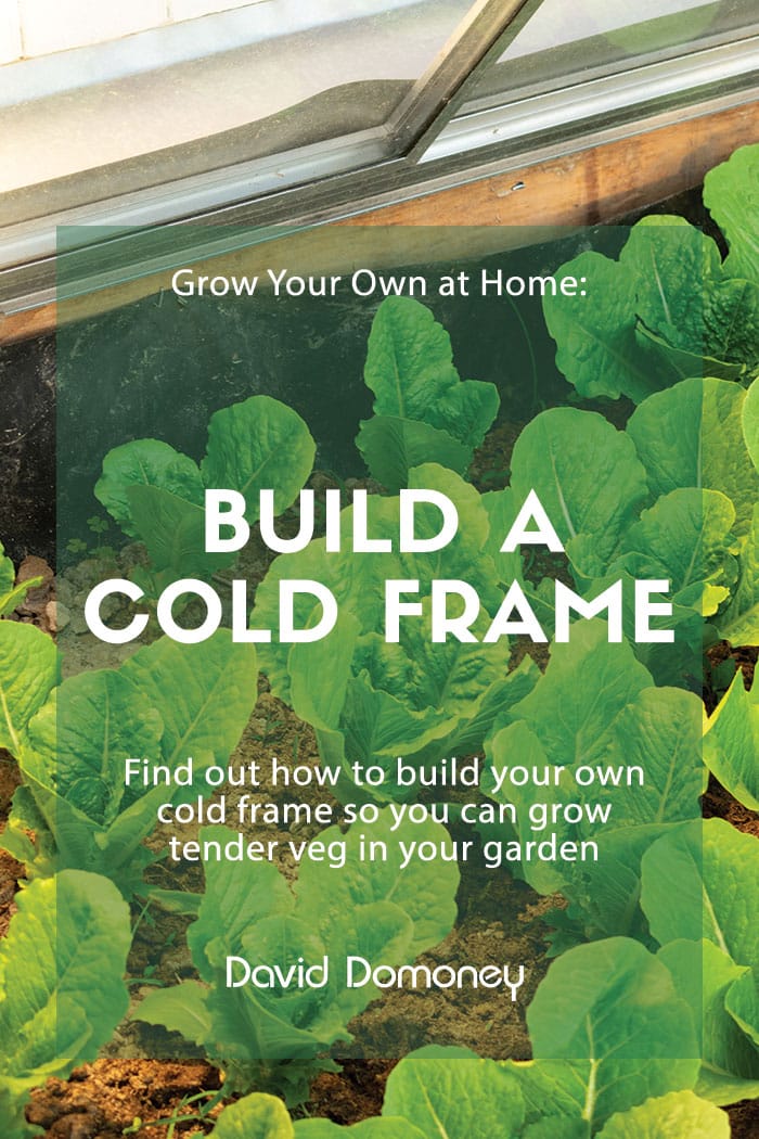 Grow your own at home cold frame