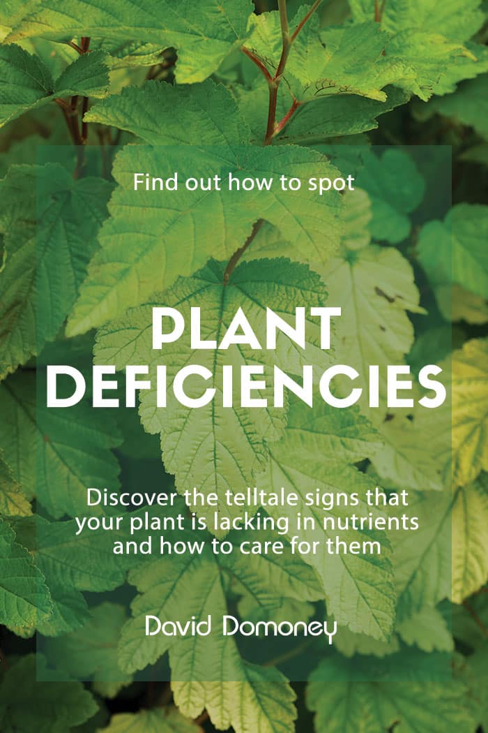 plant deficiencies