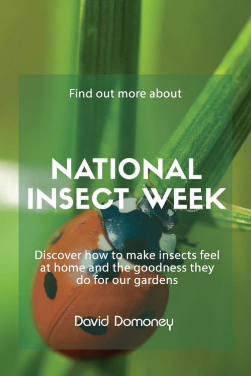 National Insect Week 2020 David Domoney