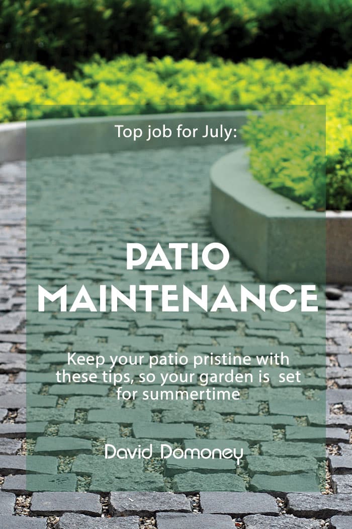 Patio maintenance