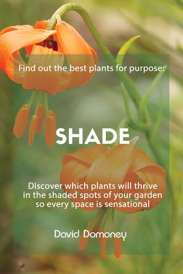 plants for purpose shade