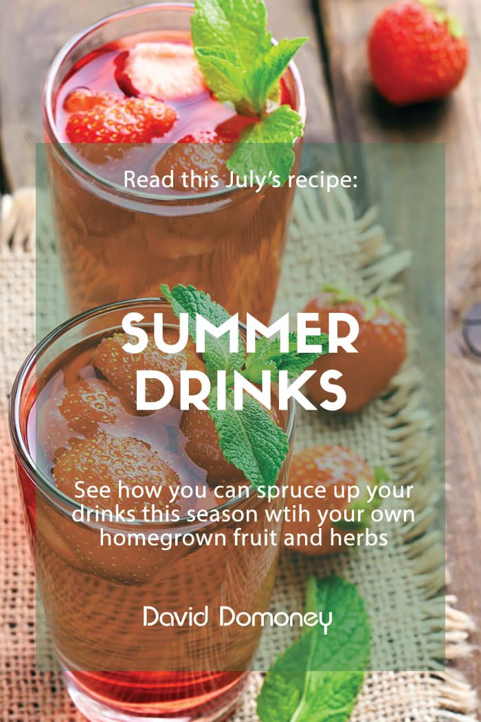 summer drinks recipe