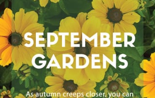 Top ten plants September