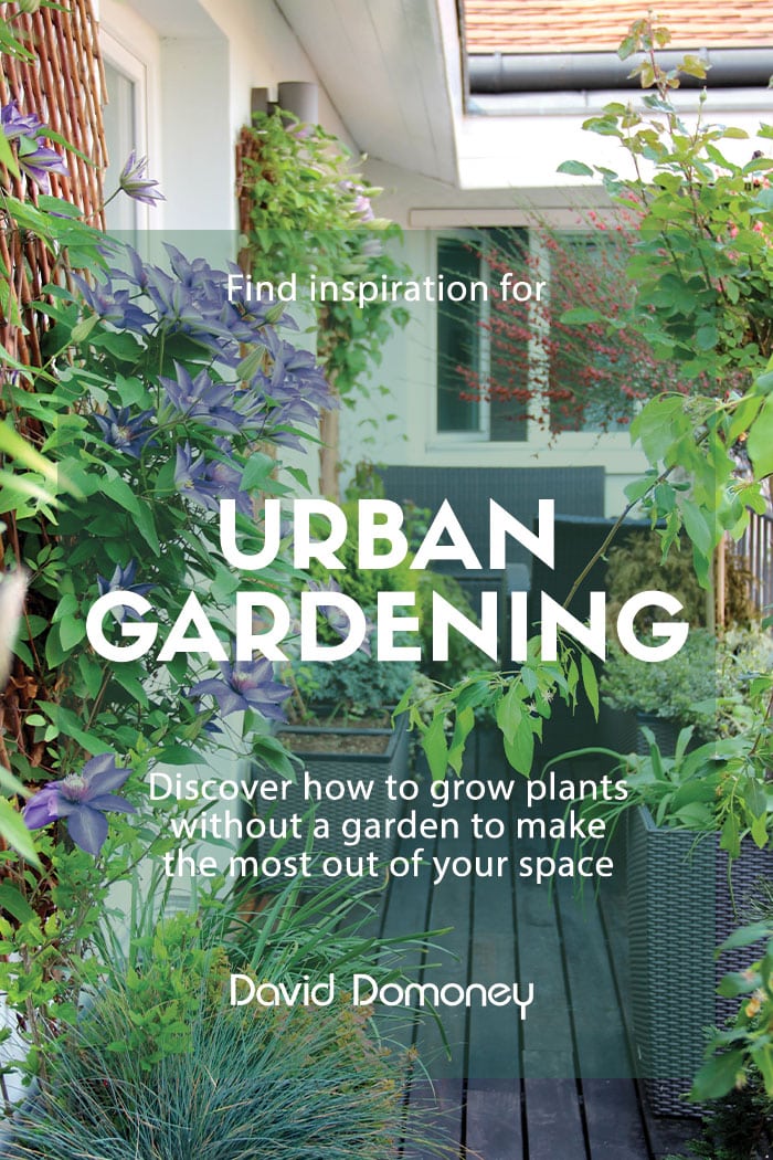 Urban Gardening Ideas