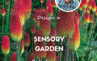 How to design a sensory garden