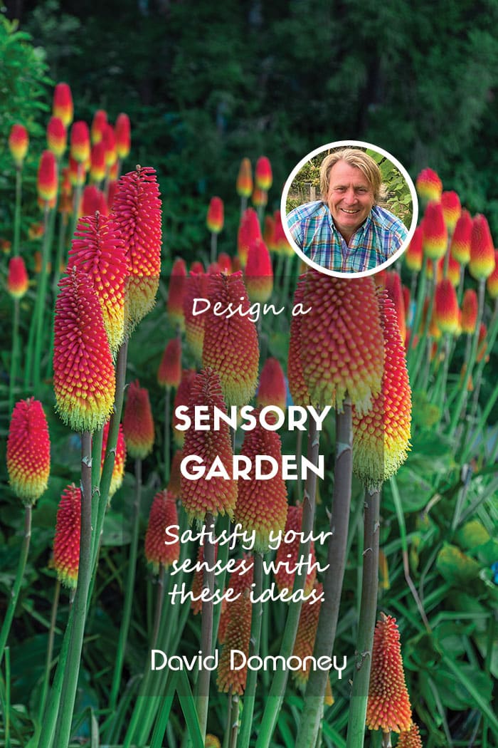 How to design a sensory garden