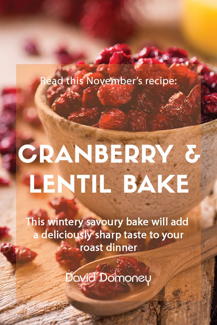 cranberry and lentil bake recipe