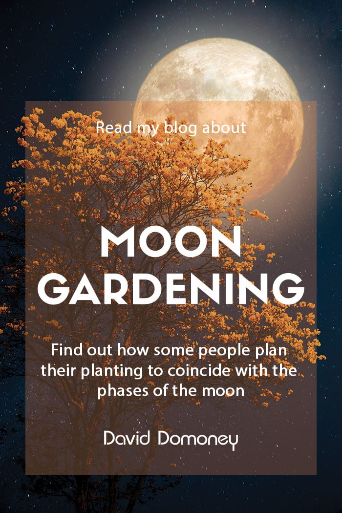 How to practice moon gardening David Domoney