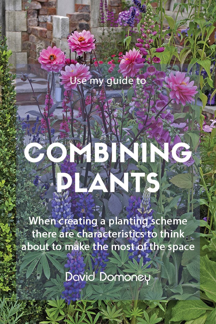 A guide to combining plants